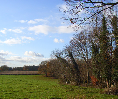 Oxfordshire, UK, by Andrew Smith, CC BY-SA 2.0, https://commons.wikimedia.org/w/index.php?curid=13767532